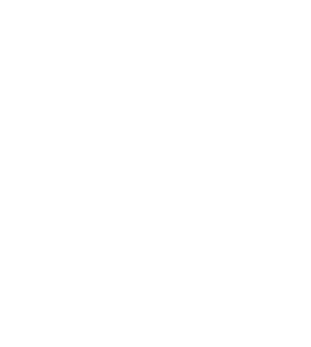 Frankie & Finnigan